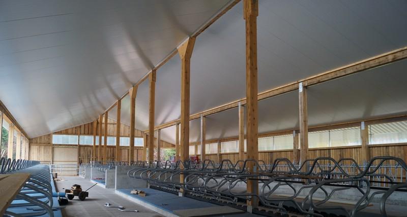 Rinderstall mit zweischaligem Dachaufbau